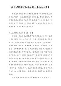 护士试用期工作总结范文【热选5篇】