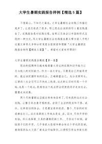 大学生暑期实践报告样例【精选5篇】