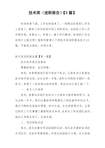 技术类（述职报告）【5篇】