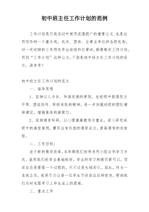 初中班主任工作计划的范例