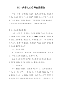 2023关于文山会海自查报告