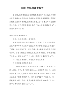2023年低保调查报告