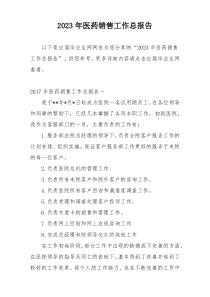 2023年医药销售工作总报告