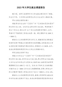 2023年大学生就业调查报告