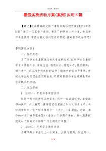 暑假实践活动方案(案例)实用5篇