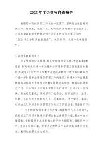 2023年工会财务自查报告