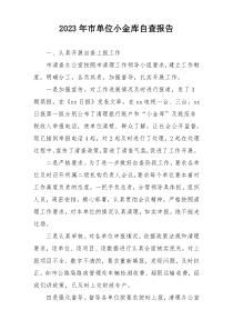 2023年市单位小金库自查报告