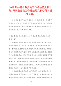 2023年外贸业务员的工作总结范文和计划_外贸业务员工作总结范文和心得（通用5篇）