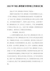 2023年干部人事档案专项审核工作报告汇报
