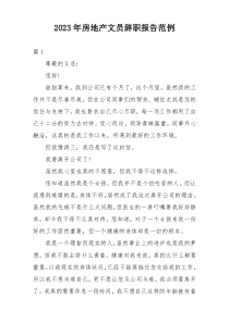 2023年房地产文员辞职报告范例