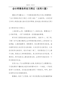 会计师事务所实习周记（实用5篇）