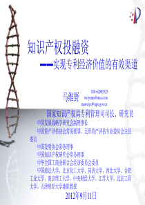 知识产权投融资