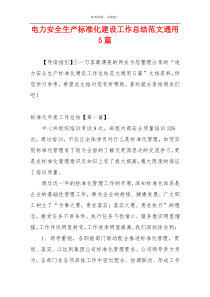 电力安全生产标准化建设工作总结范文通用5篇