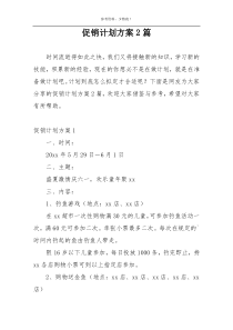 促销计划方案2篇