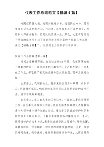 仪表工作总结范文【精编4篇】