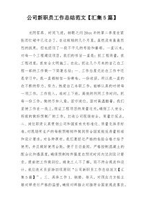 公司新职员工作总结范文【汇集5篇】
