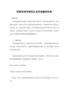 积极培育和规范社会性投融资机构(doc5)(1)