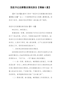 党组书记巡察整改情况报告【精编5篇】
