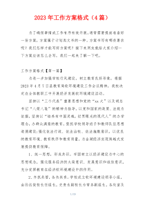 2023年工作方案格式（4篇）