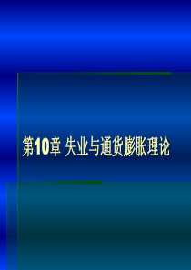 第10章微观经济学