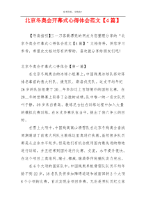 北京冬奥会开幕式心得体会范文【4篇】