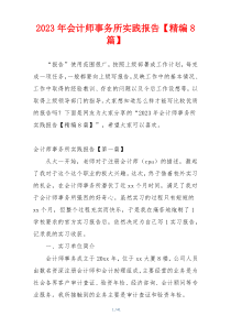 2023年会计师事务所实践报告【精编8篇】