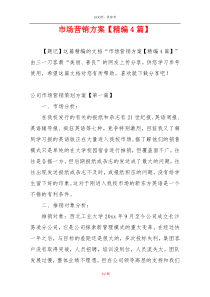 市场营销方案【精编4篇】