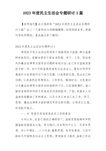 2023年度民主生活会专题研讨3篇