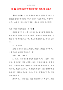 双12促销活动方案(案例)（通用4篇）