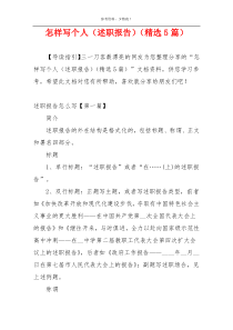 怎样写个人（述职报告）（精选5篇）