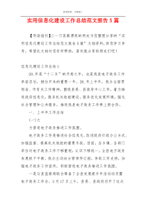 实用信息化建设工作总结范文报告5篇