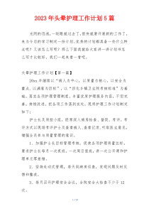 2023年头晕护理工作计划5篇