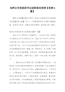 电网公司党组织书记述职报告范例【范例4篇】