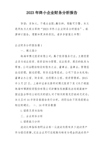 2023年终小企业财务分析报告