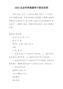 2023企业年终能源审计报告范例