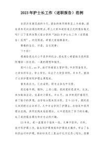 2023年护士长工作（述职报告）范例