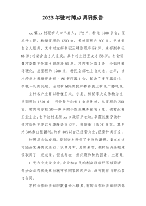 2023年驻村蹲点调研报告
