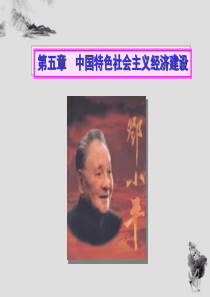 第5章中国特色社会主义经济建设