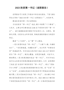 2023扶贫第一书记（述职报告）