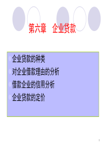 第6章 企业贷款[1]