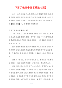 下雪了教案中班【精选4篇】