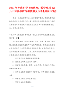 2023年小班科学《吹泡泡》教学反思_幼儿小班科学吹泡泡教案及反思【实用5篇】