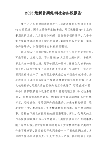 2023最新暑期促销社会实践报告