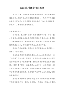 2023农村调查报告范例