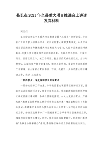 县长在20XX年全县重大项目推进会上讲话发言材料