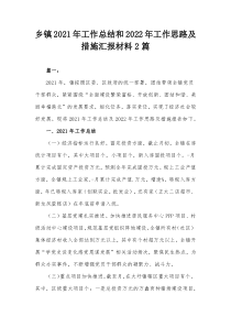 乡镇20XX年工作总结和20XX年工作思路及措施汇报材料2篇