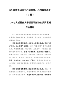 XX县委书记关于产业发展共同富裕发言2篇