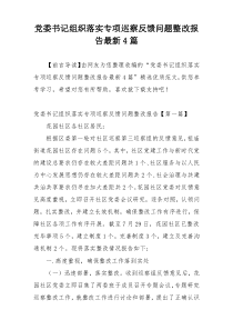 党委书记组织落实专项巡察反馈问题整改报告最新4篇