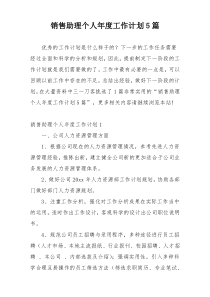 销售助理个人年度工作计划5篇