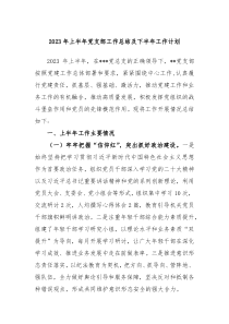 2023年上半年党支部工作总结及下半年工作计划